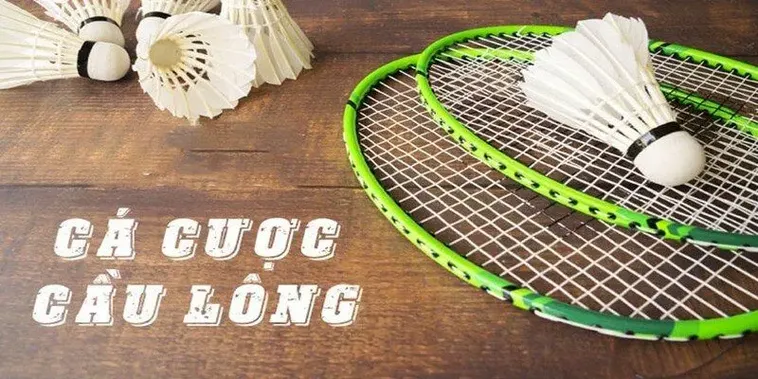Cách Chơi Cá Cược Cầu Lông DAGA: Bí Kíp Thắng Lớn Với Vợt Ảo