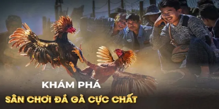Cách Chơi Đá Gà GA28 Tại DAGA Đỉnh Cao Giải Trí Kê Thủ