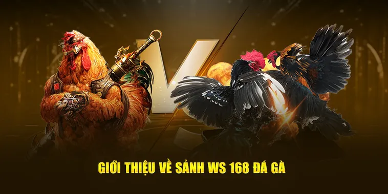 Cách Chơi Đá Gà WS168 Tại DAGA: Hướng Dẫn Vui Vẻ Cho Tân Thủ